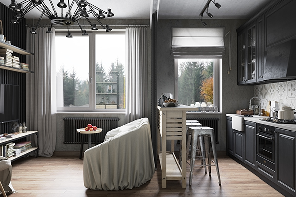Small Modern Industrial Apartment