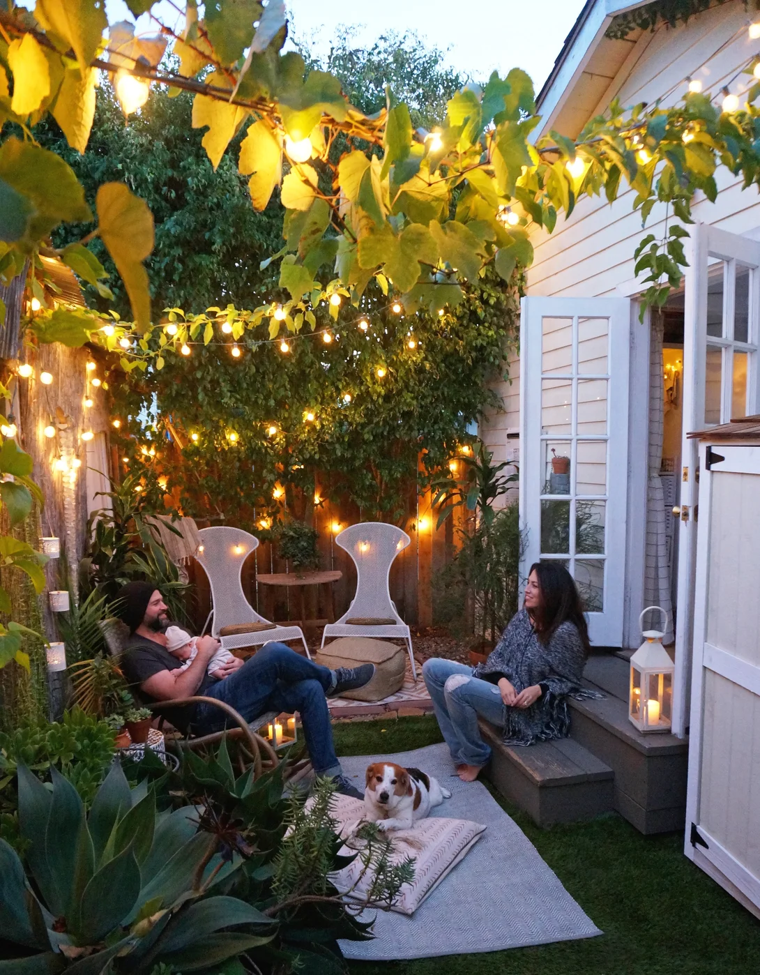 tiny Backyard plants for privacy